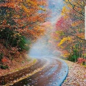 Meet your Posher, Jane